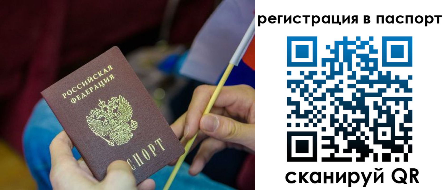 временная регистрация поиск в Архангельской области